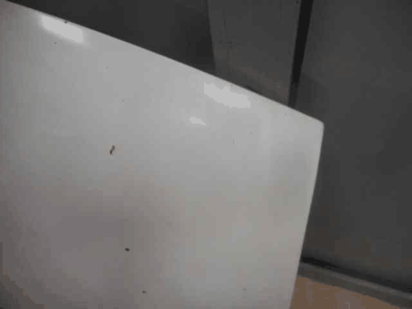 Texto alternativo de la imagen