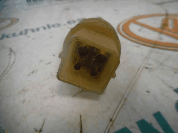 Texto alternativo de la imagen