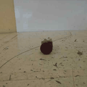 Texto alternativo de la imagen