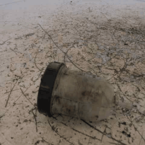 Texto alternativo de la imagen