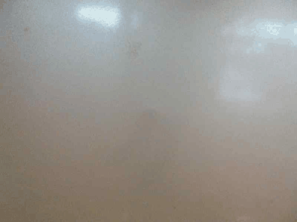 Texto alternativo de la imagen