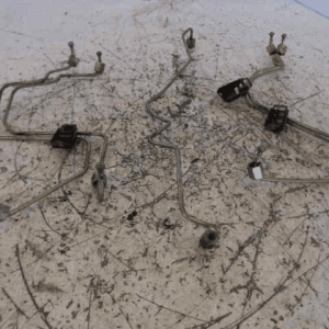 Texto alternativo de la imagen