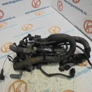 Texto alternativo de la imagen