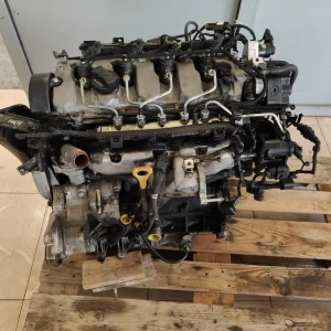 Texto alternativo de la imagen