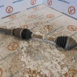 Texto alternativo de la imagen